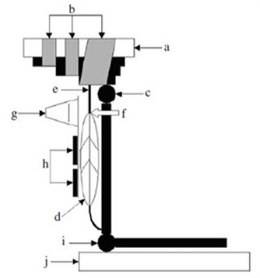 Quantification of Internal Stress-Strain Fields in Human Tendon: Unraveling the Mechanisms that Underlie Regional Tendon Adaptations and Mal-Adaptations to Mechanical Loading and the Effectiveness of Therapeutic Eccentric Exercise